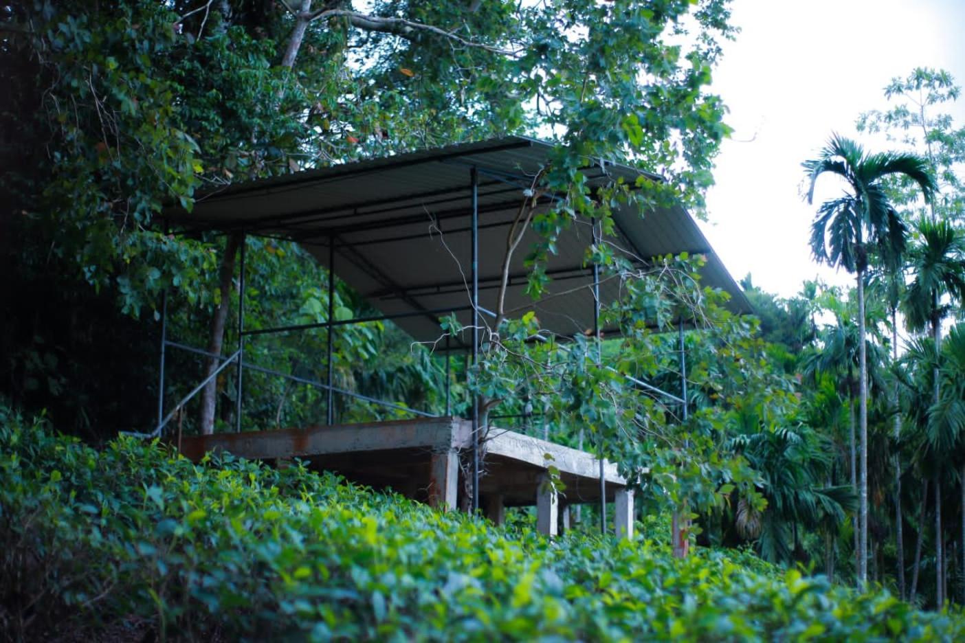 Rainforest Lodge, Deniyaya Singheraja Exterior photo