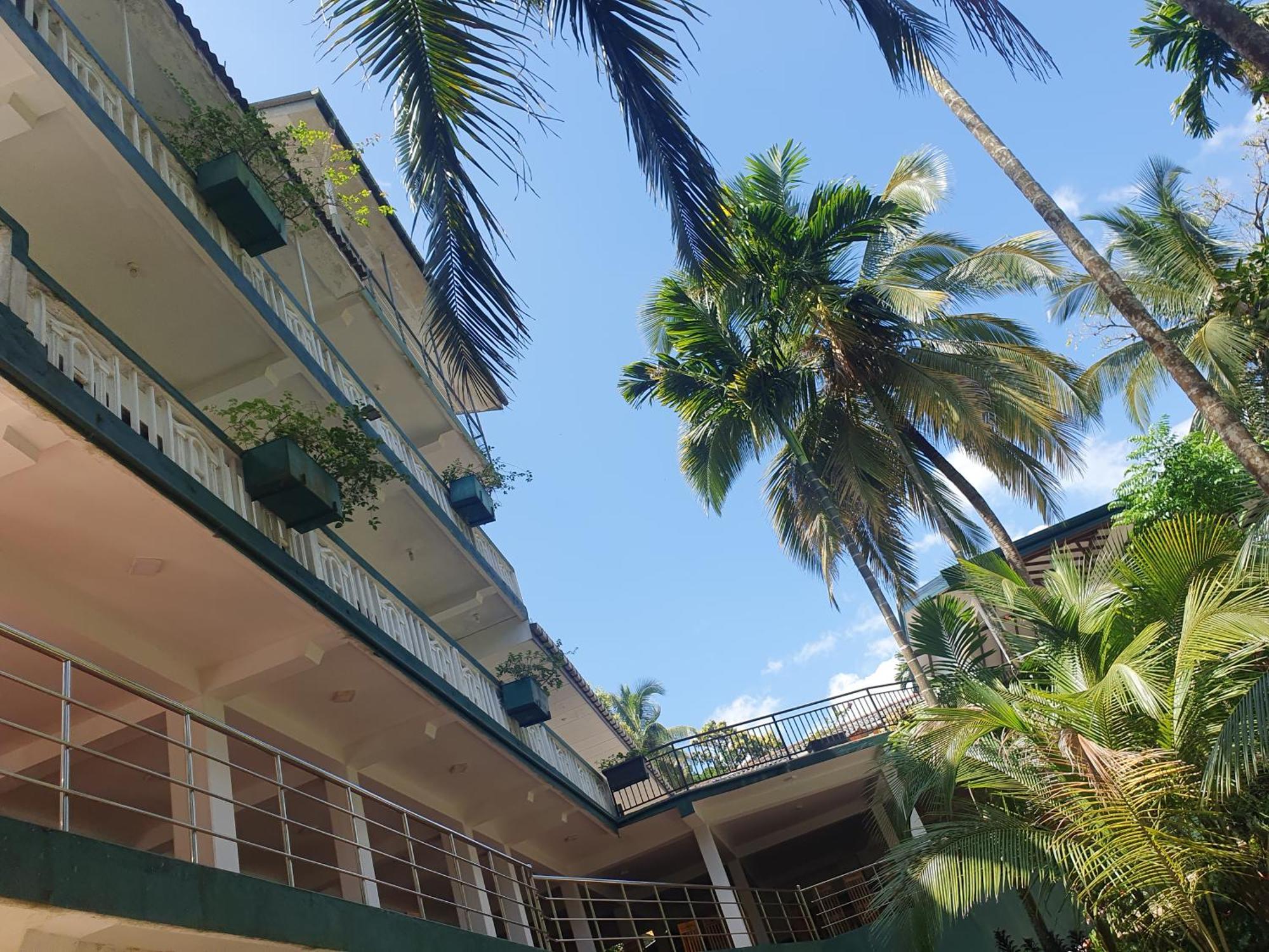 Rainforest Lodge, Deniyaya Singheraja Exterior photo