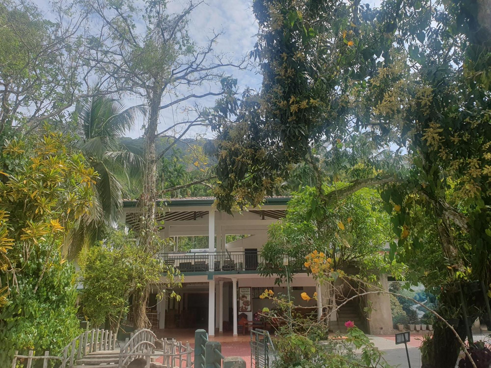 Rainforest Lodge, Deniyaya Singheraja Exterior photo