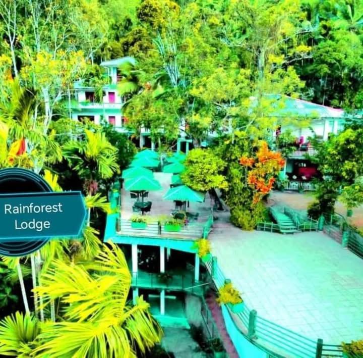 Rainforest Lodge, Deniyaya Singheraja Exterior photo